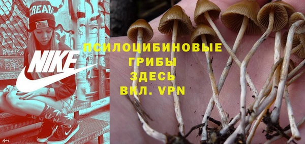 MDMA Premium VHQ Вяземский