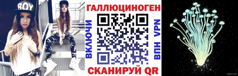 Купить где  Руза  Галлюциногенные грибы мухоморы 